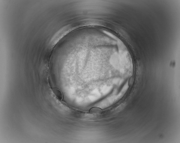 X0000112010985200909141121