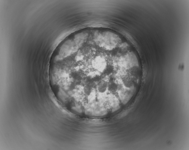 X0000112010986200909141121