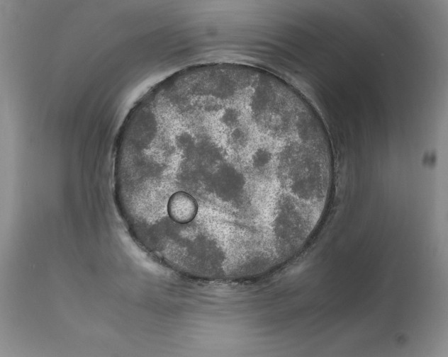 X0000112010987200909141121