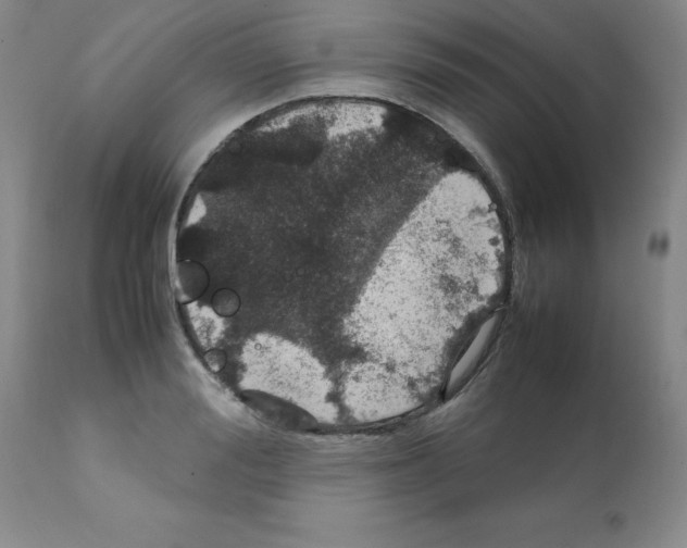 X0000112010988200909141121