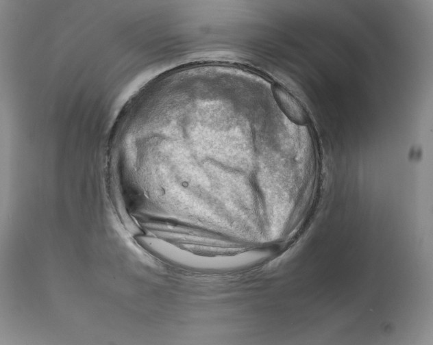 X0000112010989200909141121