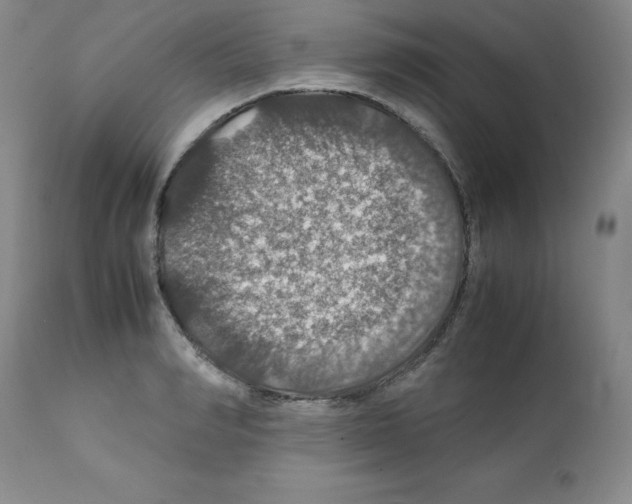X0000112010990200909141121