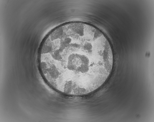 X0000112010991200909141121