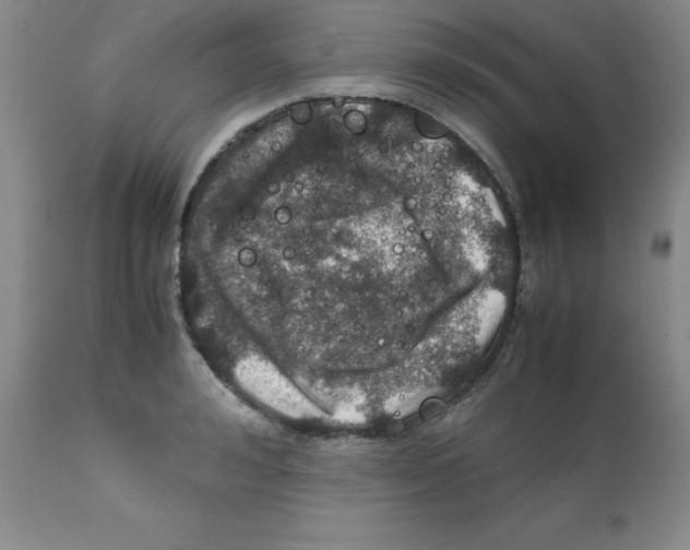 X0000112010992200909141121