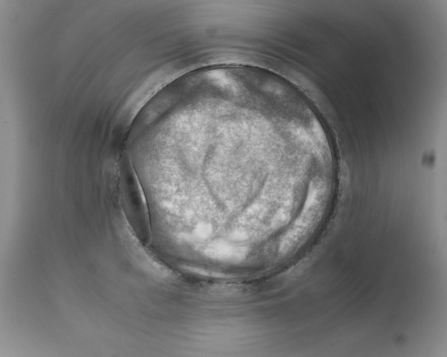 X0000112010993200909141121