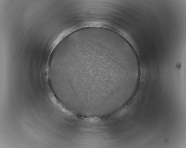 X0000112010994200909141121