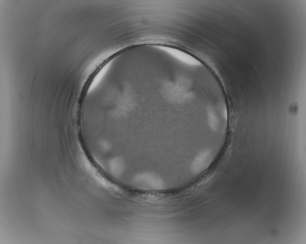 X0000112010995200909141121