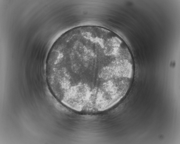 X0000112010996200909141121