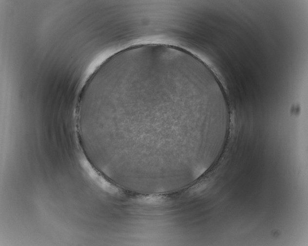 X0000112010998200909141121