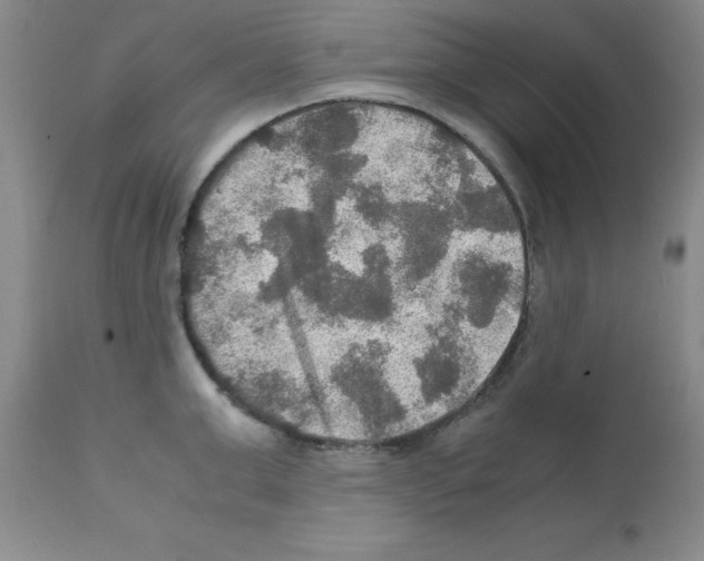 X0000112010999200909141121