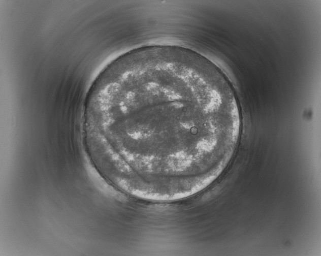 X0000112011000200909141121