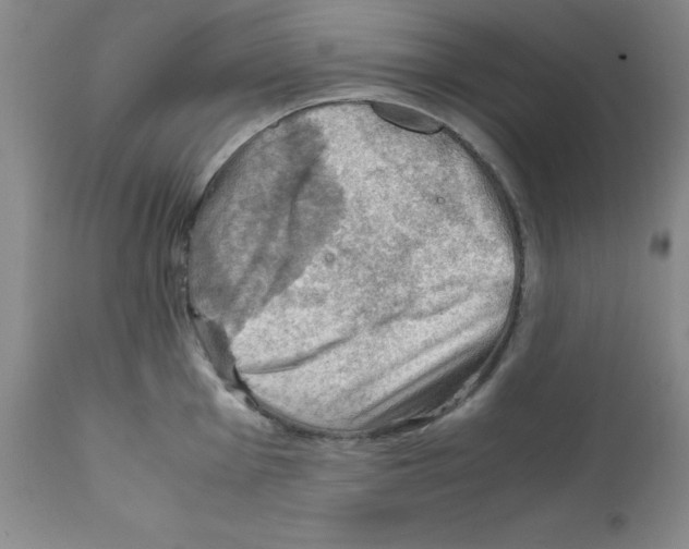 X0000112011001200909141121
