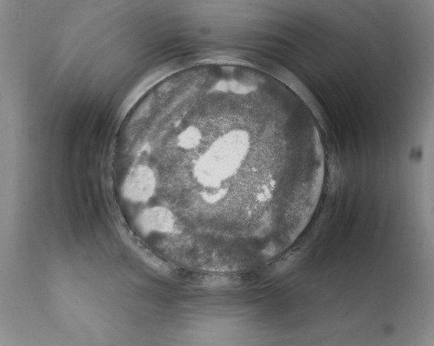 X0000112011002200909141121