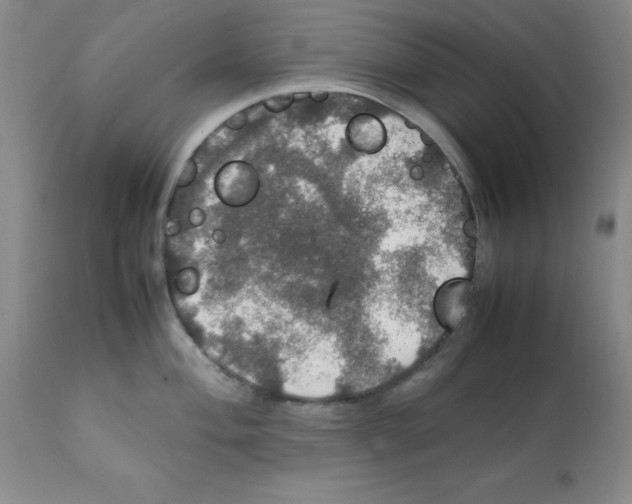X0000112011004200909141121