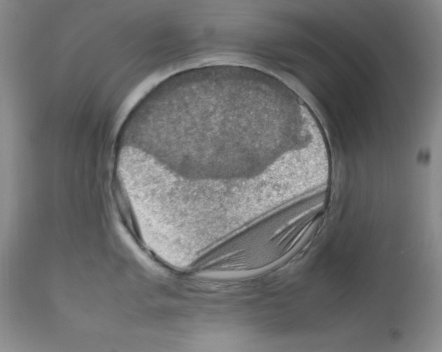 X0000112011005200909141121