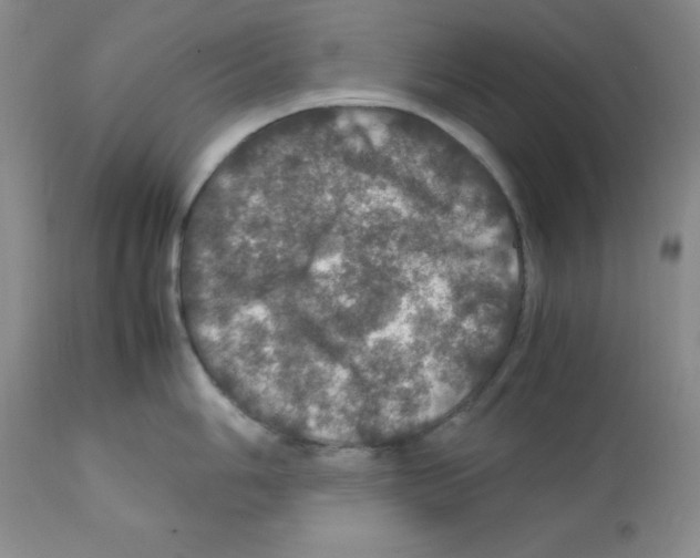 X0000112011006200909141121