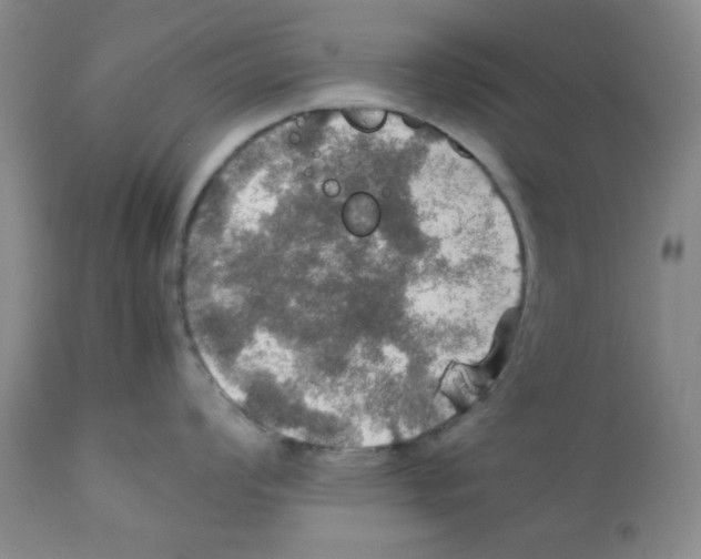 X0000112011008200909141121