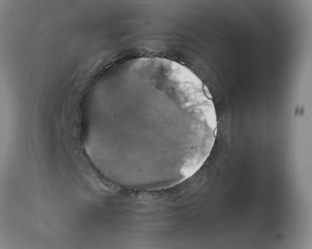 X0000112011009200909141120