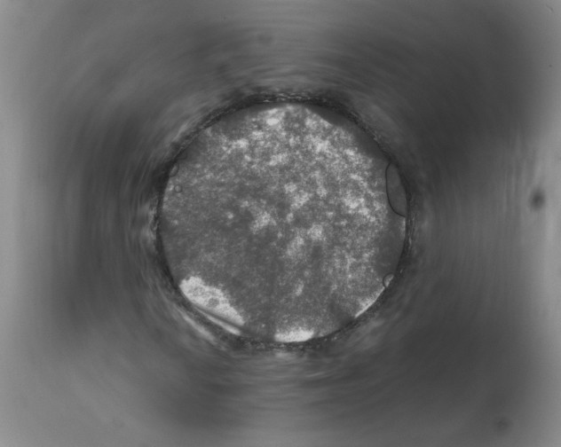 X0000112011010200909141120