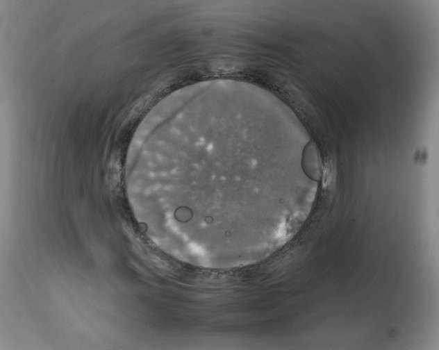 X0000112011011200909141120