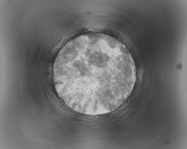 X0000112011012200909141120