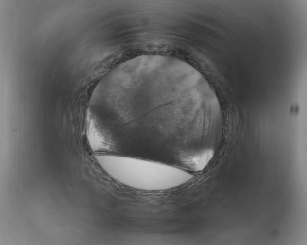 X0000112011013200909141120