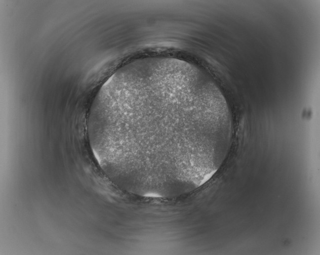 X0000112011014200909141120