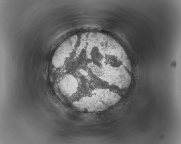 X0000112011015200909141120