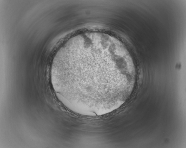 X0000112011016200909141120