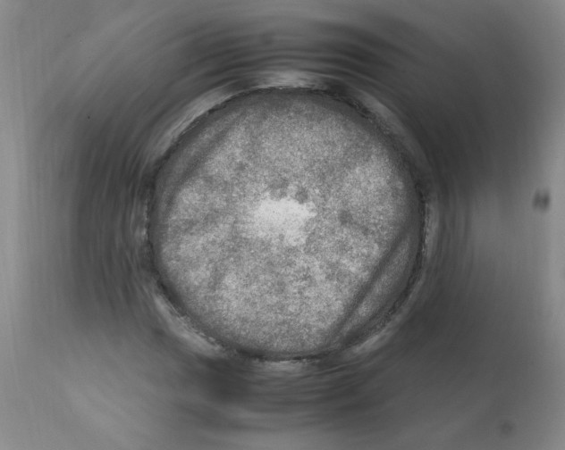 X0000112011017200909141120