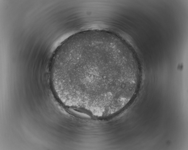 X0000112011018200909141120