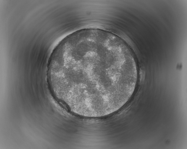 X0000112011020200909141120