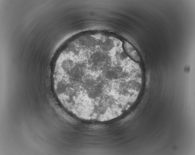 X0000112011021200909141120