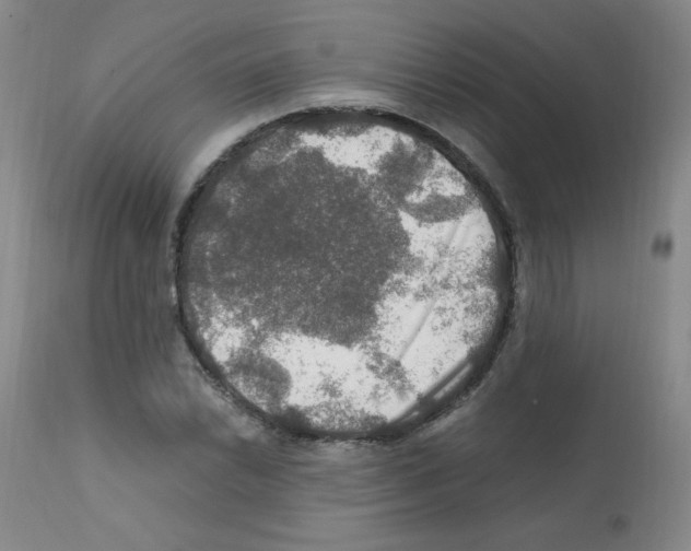 X0000112011022200909141120