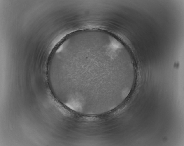 X0000112011023200909141120