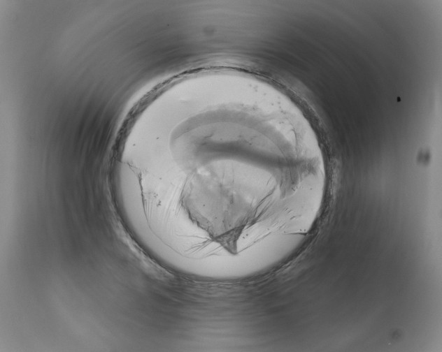 X0000112011024200909141120