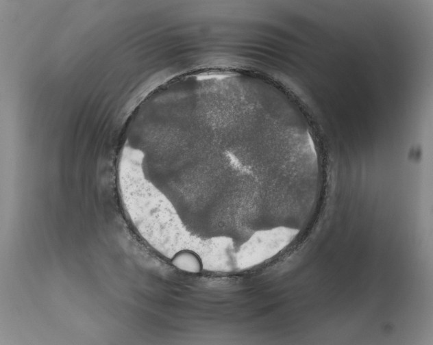 X0000112011025200909141120