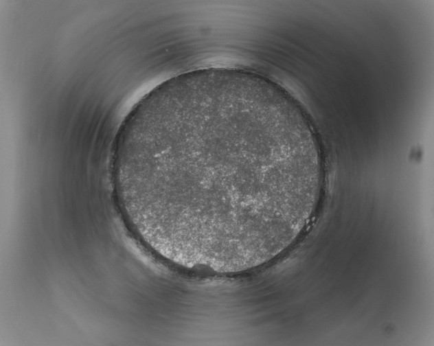 X0000112011026200909141120
