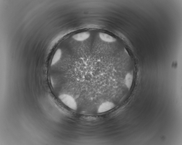 X0000112011027200909141120