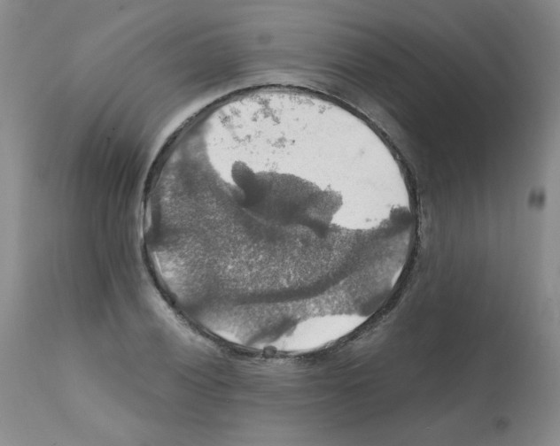 X0000112011028200909141120