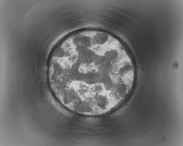 X0000112011029200909141120