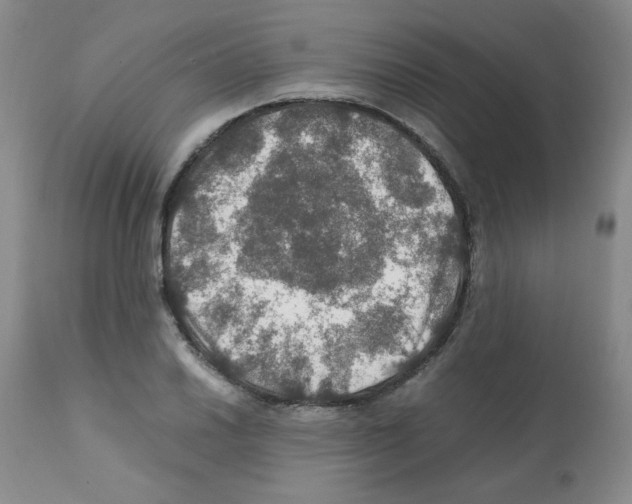X0000112011030200909141120