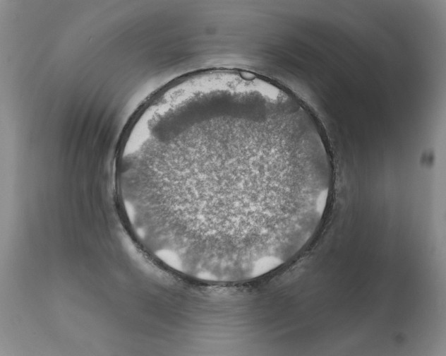 X0000112011032200909141120
