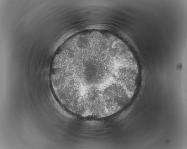 X0000112011033200909141120