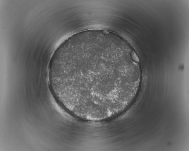X0000112011034200909141121