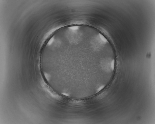 X0000112011035200909141121
