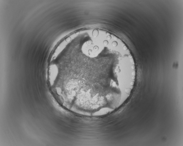 X0000112011036200909141121