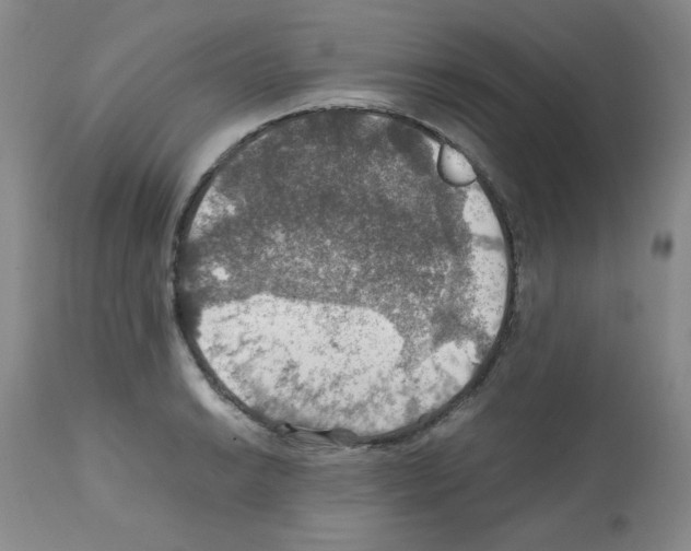 X0000112011038200909141121