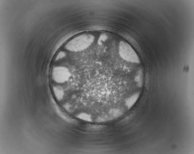 X0000112011039200909141121