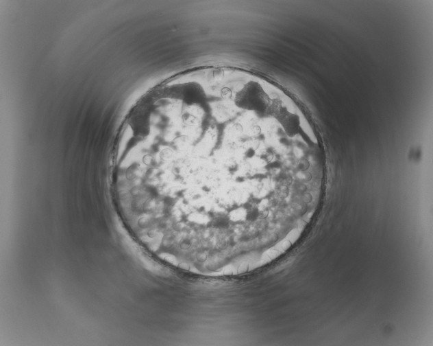X0000112011040200909141121